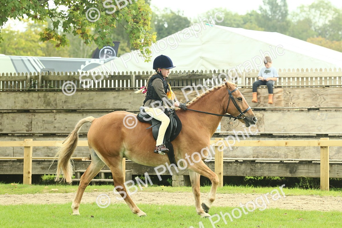 SBM_62573 - S62 - Foreign Breeds Ridden