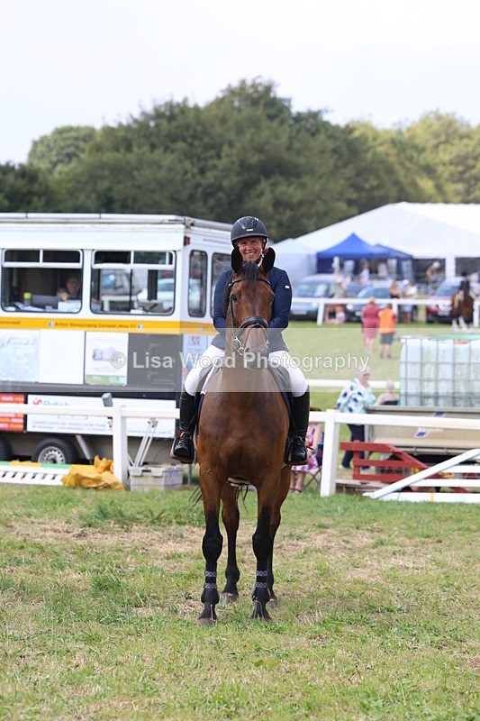 3E7A3453 - Class 10: Senior Foxhunter/1.20 open