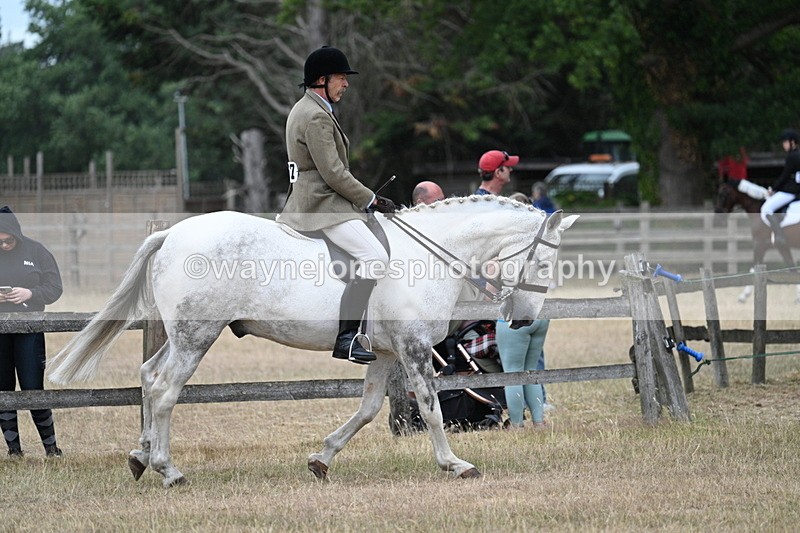 WJ7_0923 - Class 7 Riding Club Show Horse