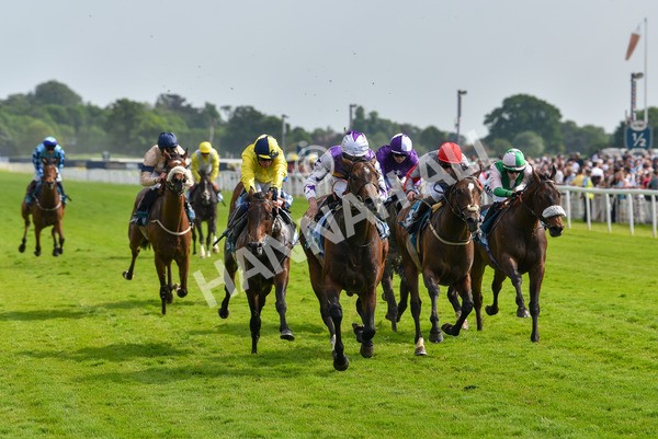 270523-Race 6-Quantum Impact-4548 - Race 6 4.25pm Royal Yorkshire Regiment Handicap