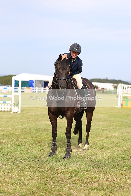 3E7A0901 - Class C: Showjumping Senior Foxhunter