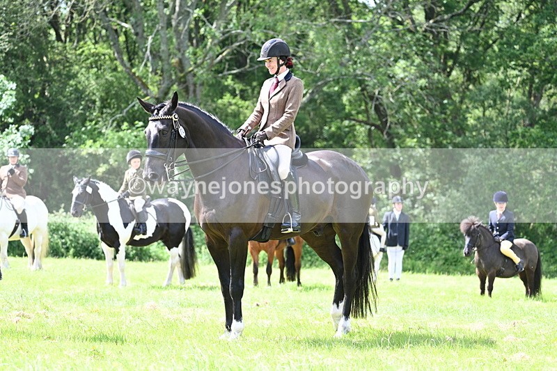 WJ7_1462 - Class 11 Condition & Turnout