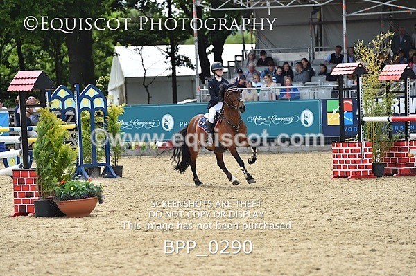 BPP_0290 - RHS 2019 Selection - *Just some random spectator shots so Lucky Dip if you are there!