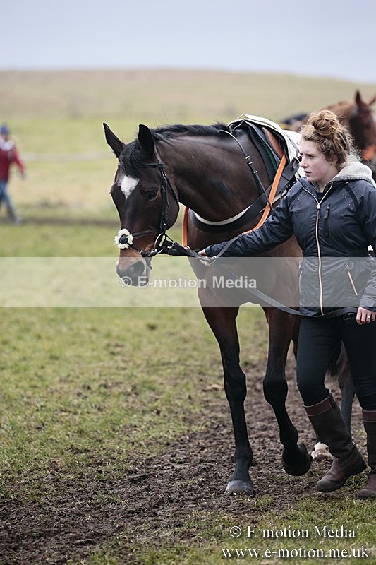 PtP 180218 467 - Combined Services Point-to-Point Larkhill 18/02/18