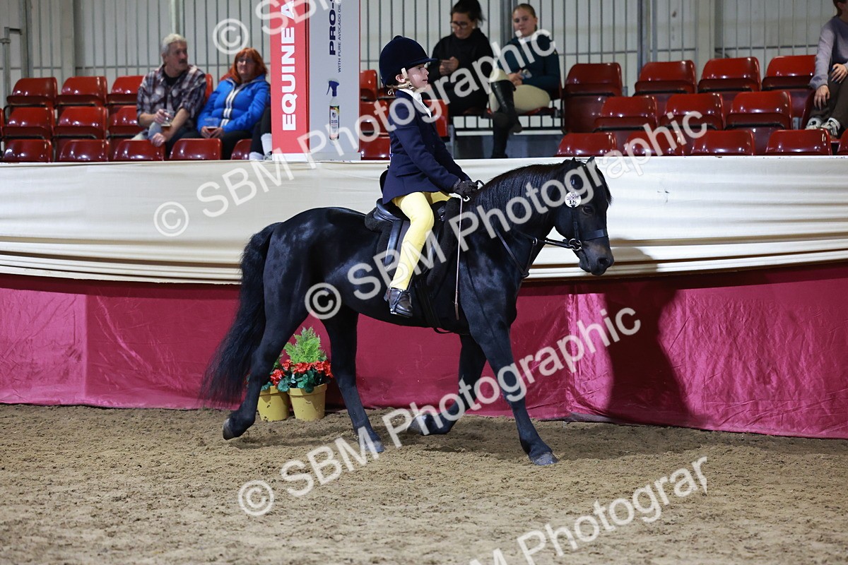 SBM_21337 - Class T - Working Veteran Champs