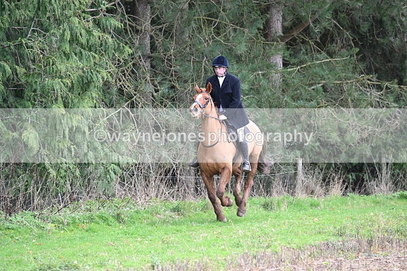 WJ6_9484 - Line Four