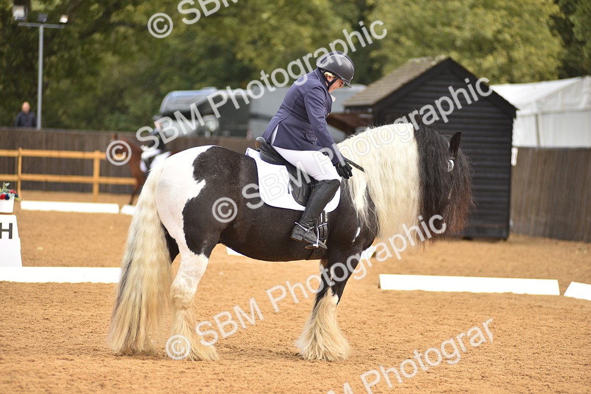 SBM_02171 - D7 - Small Tour Championship Prelim 2