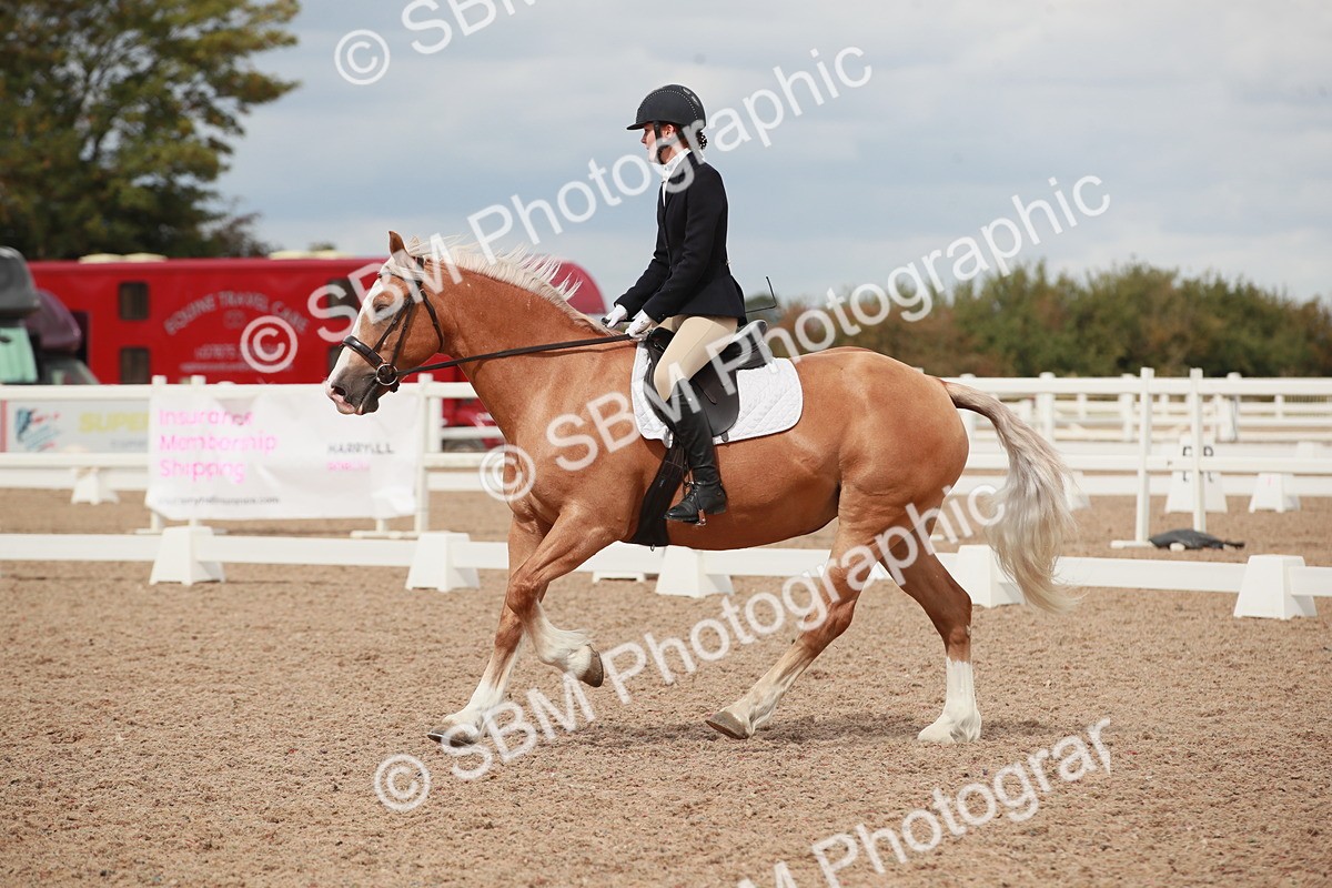 SBM_05903 - Class 32 - Novice 1