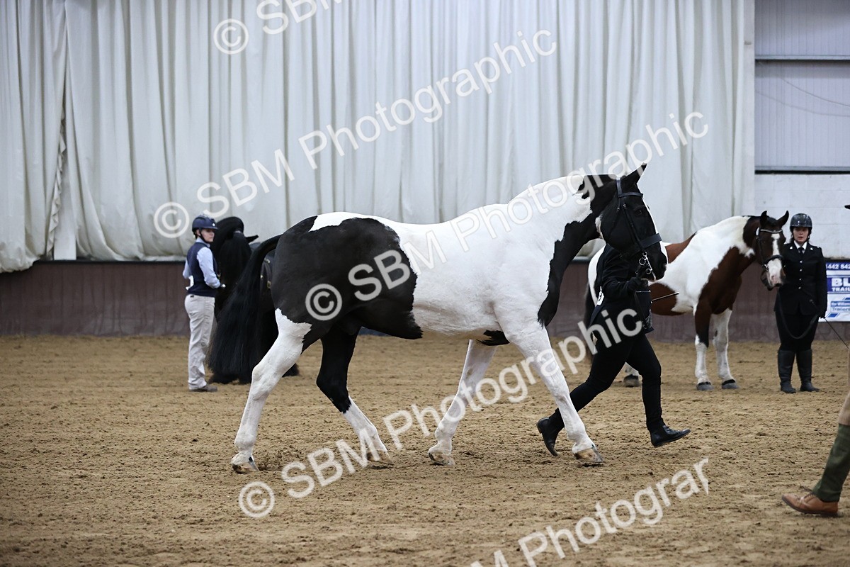 SBM_5278 - Class 32 - In Hand Cob Type