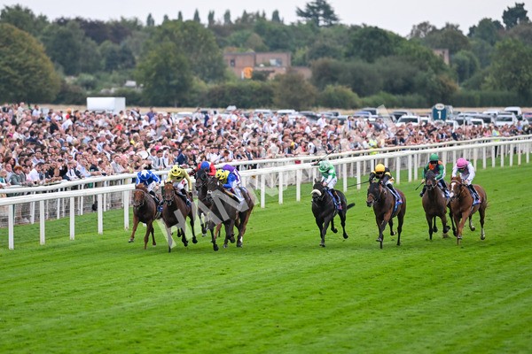 230825-Race 3-Never So Brave-0054 - Race 3 3.00pm Sky Bet City Of York Stakes