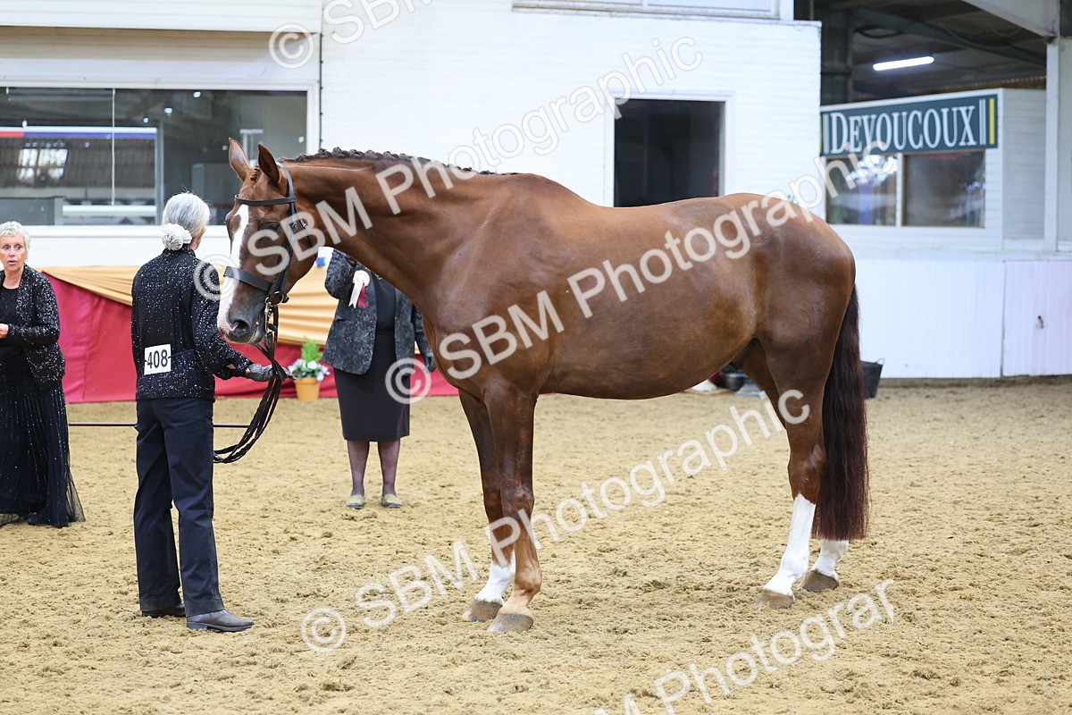 SBM_22718 - Class 903 - Supreme Final - IH Pre Vet