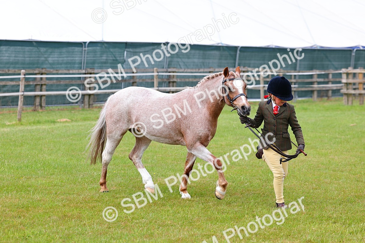 SBM_09441 - Class 44-45 - LIHS BSPS Open Nursery and Cradle Stakes