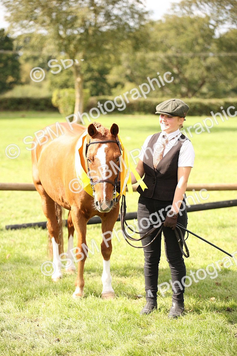 SBM_44520 - S24 - Young Veteran in hand