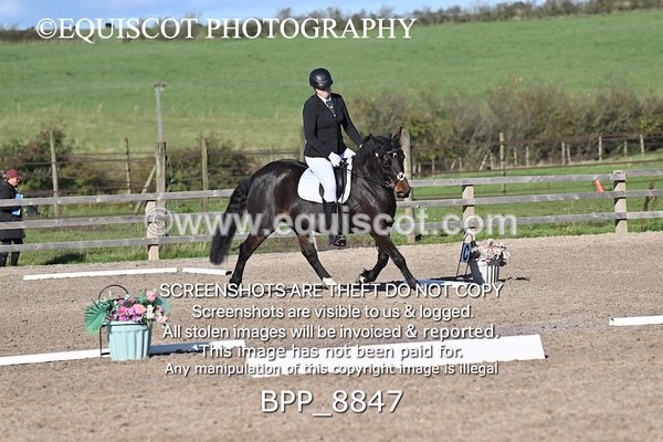 BPP_8847 - SHORT ARENA INTRO 2