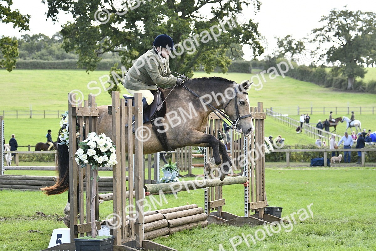 SBM_45756 - S33 - Working Hunter Pony