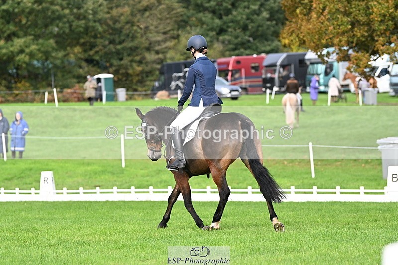 251023A-105739-02642 - G-511-Clara.Tuke