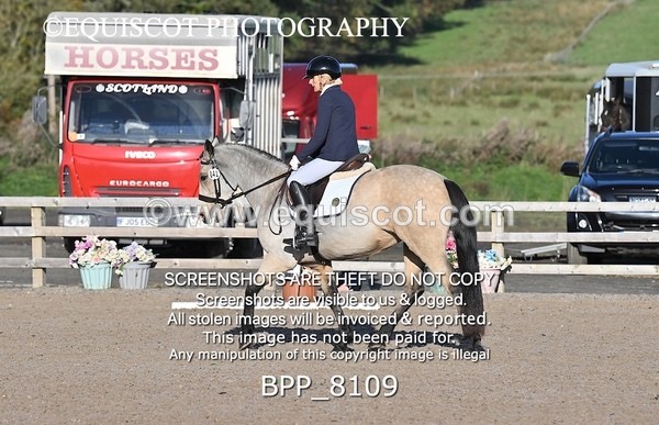 BPP_8109 - SHORT ARENA