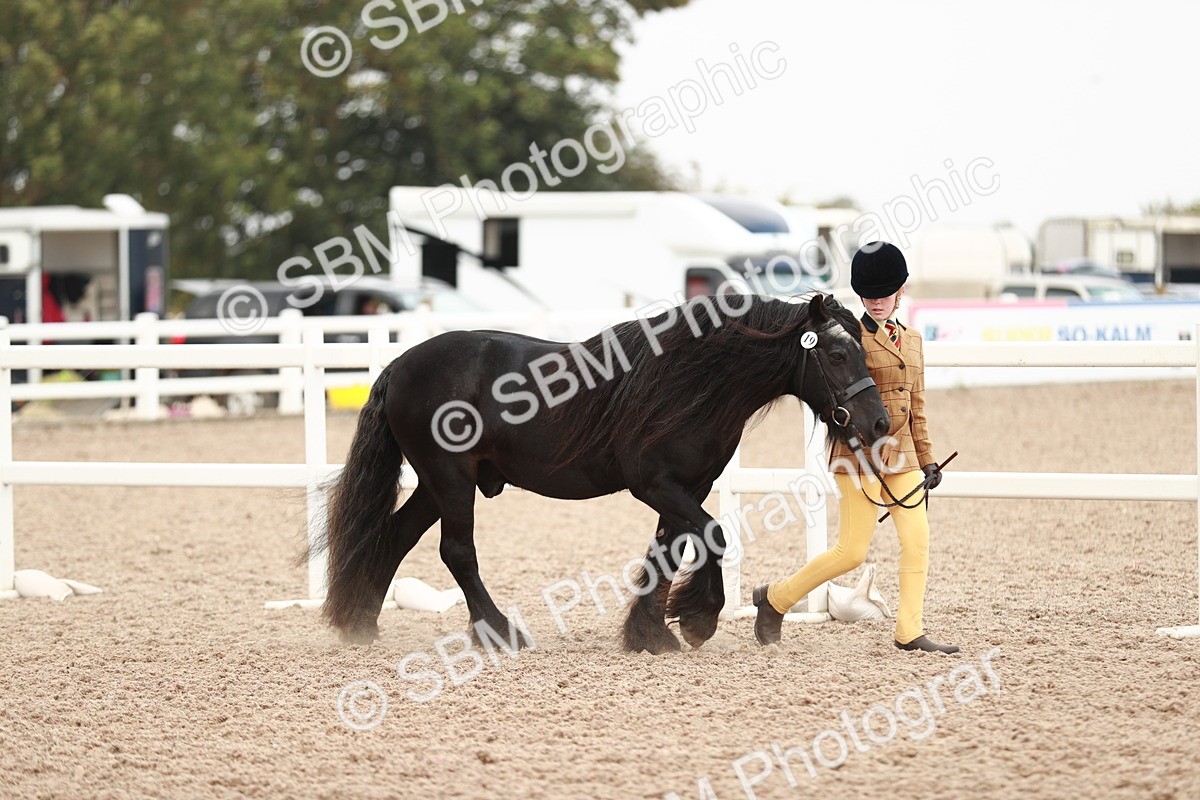 SBM_12392 - Class 207 IH M&M