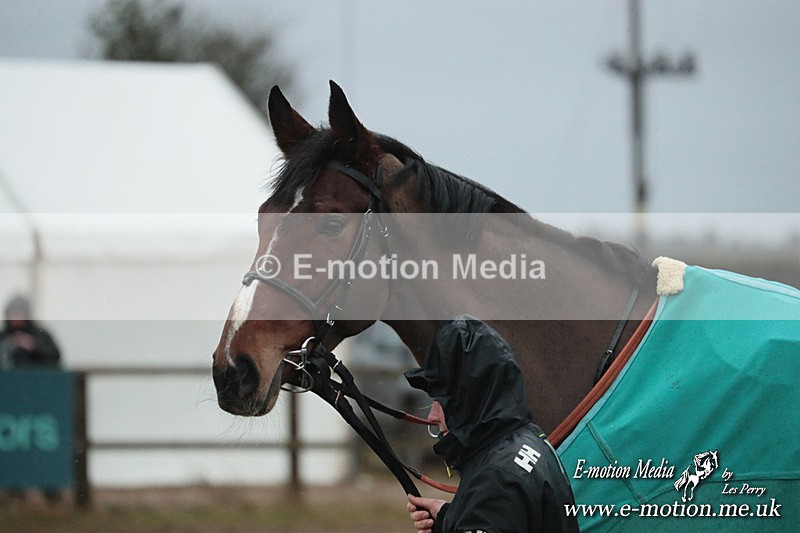 PtP 260125 951 - Cocklebarrow Point-to-Point racing with the Heythrop Hunt 26/01/25