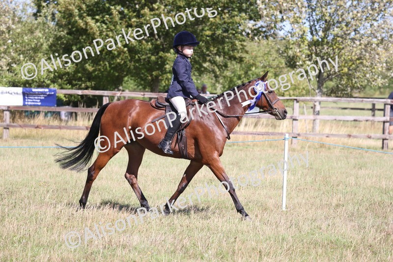 20260906-2347 - Class 16 - Family Pony