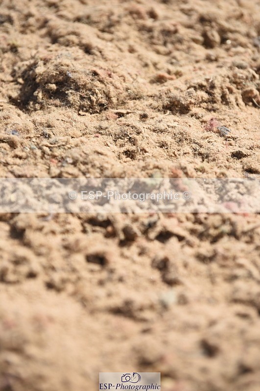 230906A-125802-00379 - Newcomers & 1.10m Open