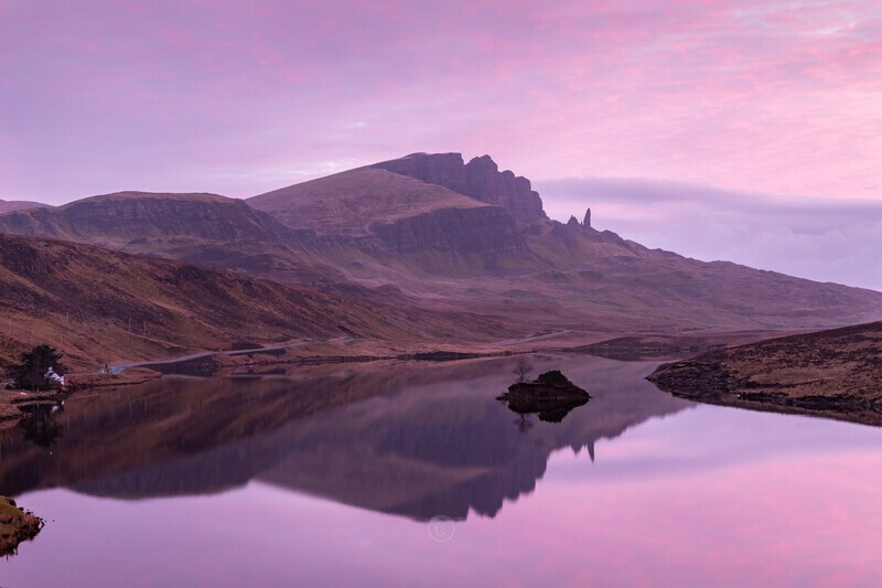 In the Pink - Scotland