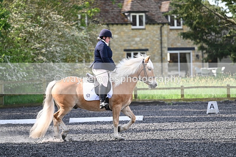 WJ7_8007 - Time 10:11 to 10:27