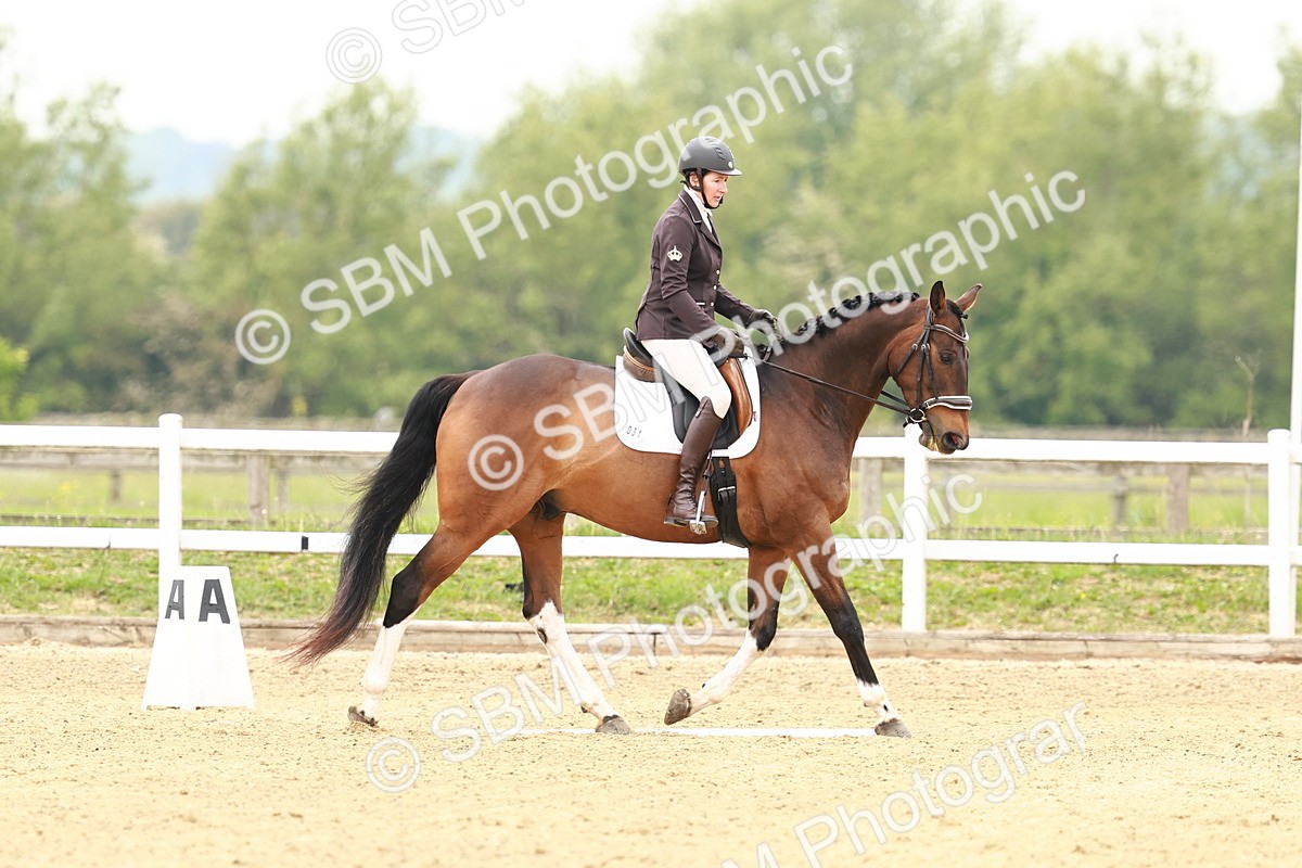 SBM_000951 - Class 6 - Novice 4