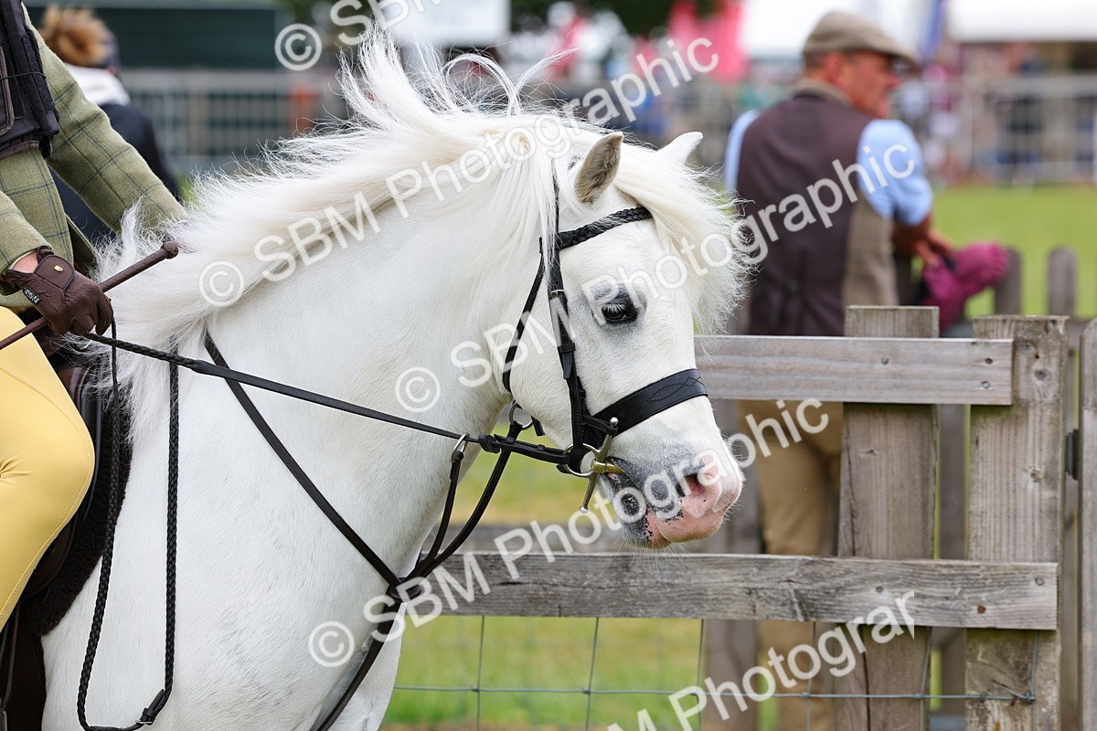 SBM_08445 - Class 42-43 - LIHS BSPS Heritage Working Sports Pony