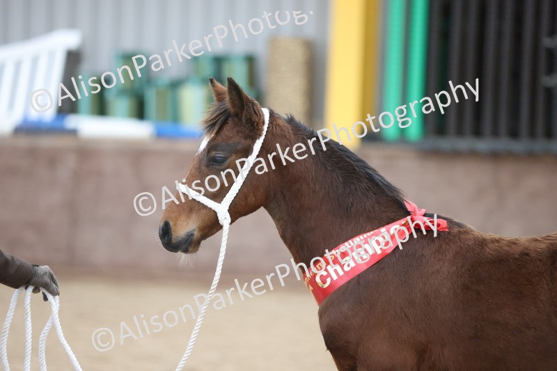 20251109-1180 - Championship