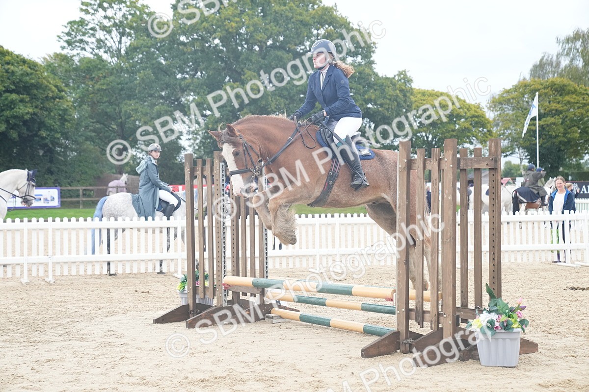 SBM_01852 - J54 - Clear Round 50cm