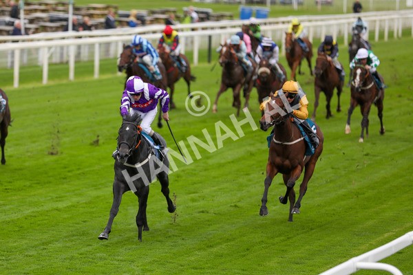 131023-Race 1-Pilgrim-9714 - Race 1 2.05pm William Hill EBF Novice Stakes