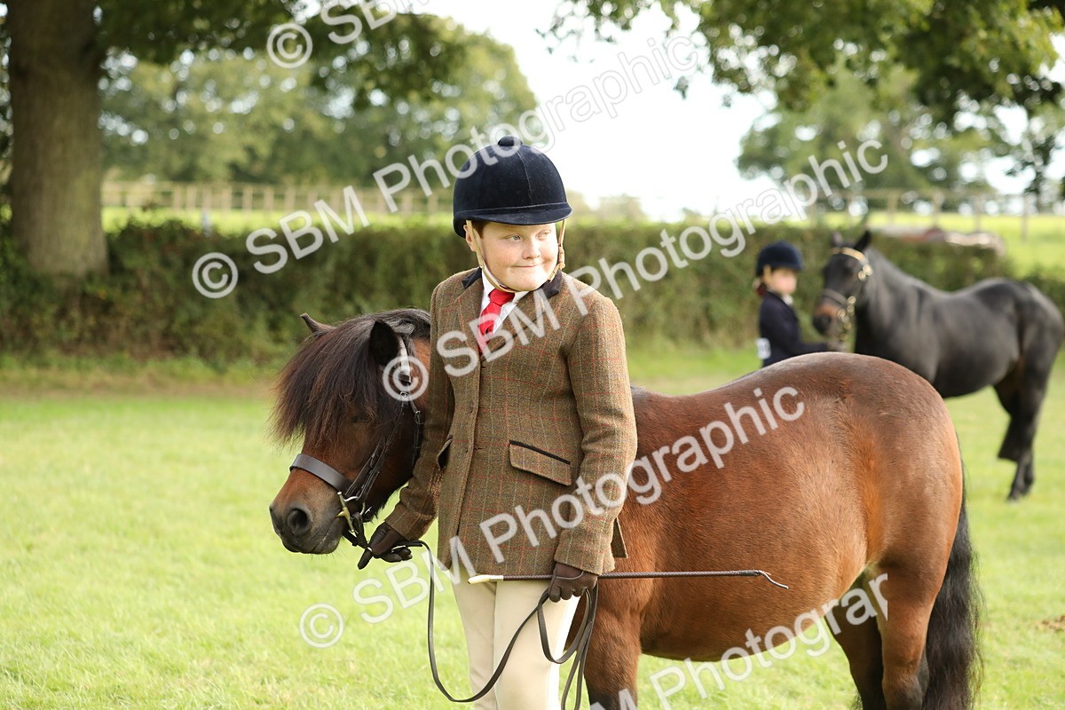 SBM_68701 - S40 - Junior Handler 9-12 Years