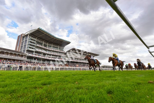 230824-Race 7-Treasure Time-4412 - Race 7 5.20pm Sky Bet Mile Handicap