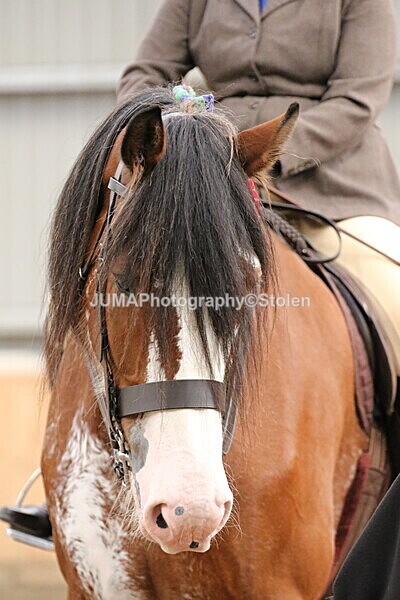 SIAL2227 - Sunday 14th Ridden