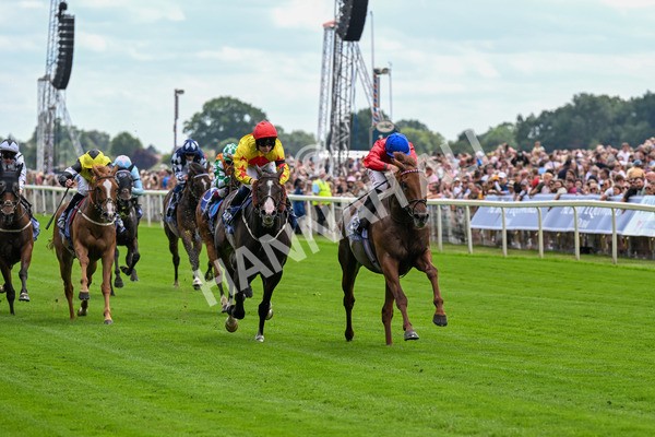 280625-Race 1-Archivist-0024 - Race 1 1.55pm Al Basti Equiworld Dubai Mile Handicap