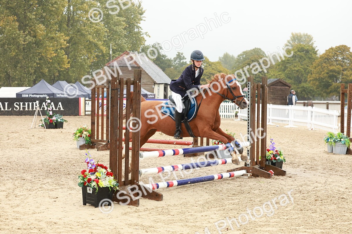 SBM_71428 - J14 - Junior Pony 65cm Championship