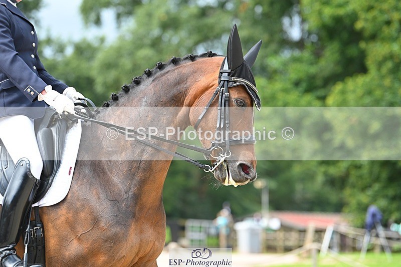 230813-112950-06617 - Cls 12 Elem Silver 10.35 to End