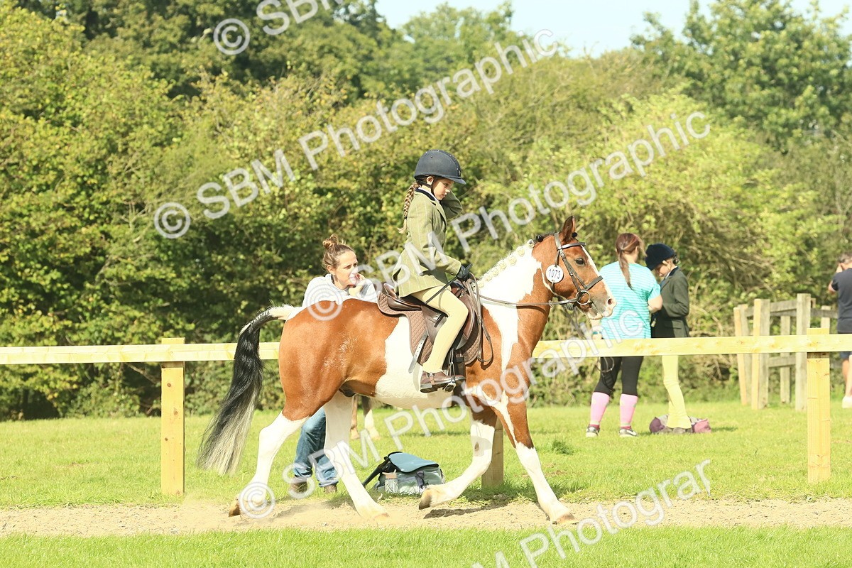 SBM_67434 - S56 - Coloured Pony Ridden