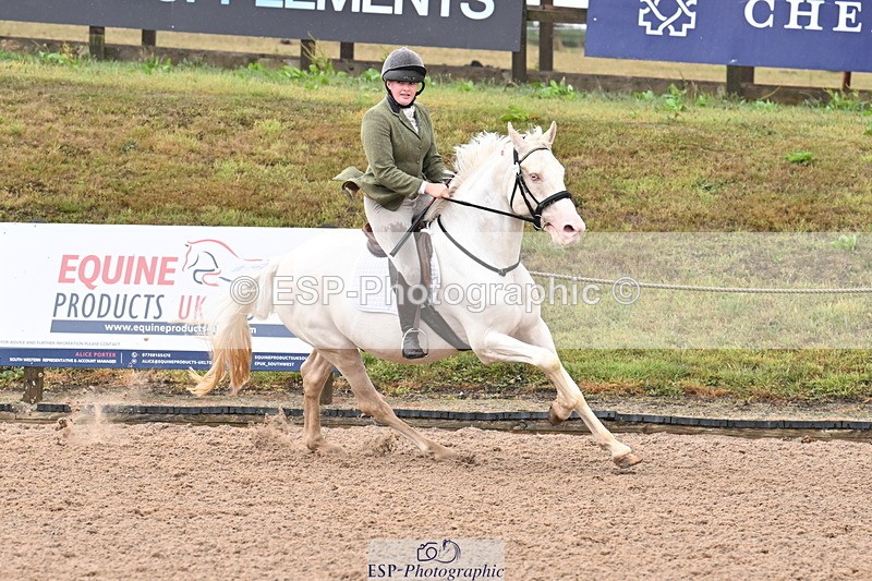 250827B-105454-00192 - Clear Round & Cls 1 Brit Nov 90cm