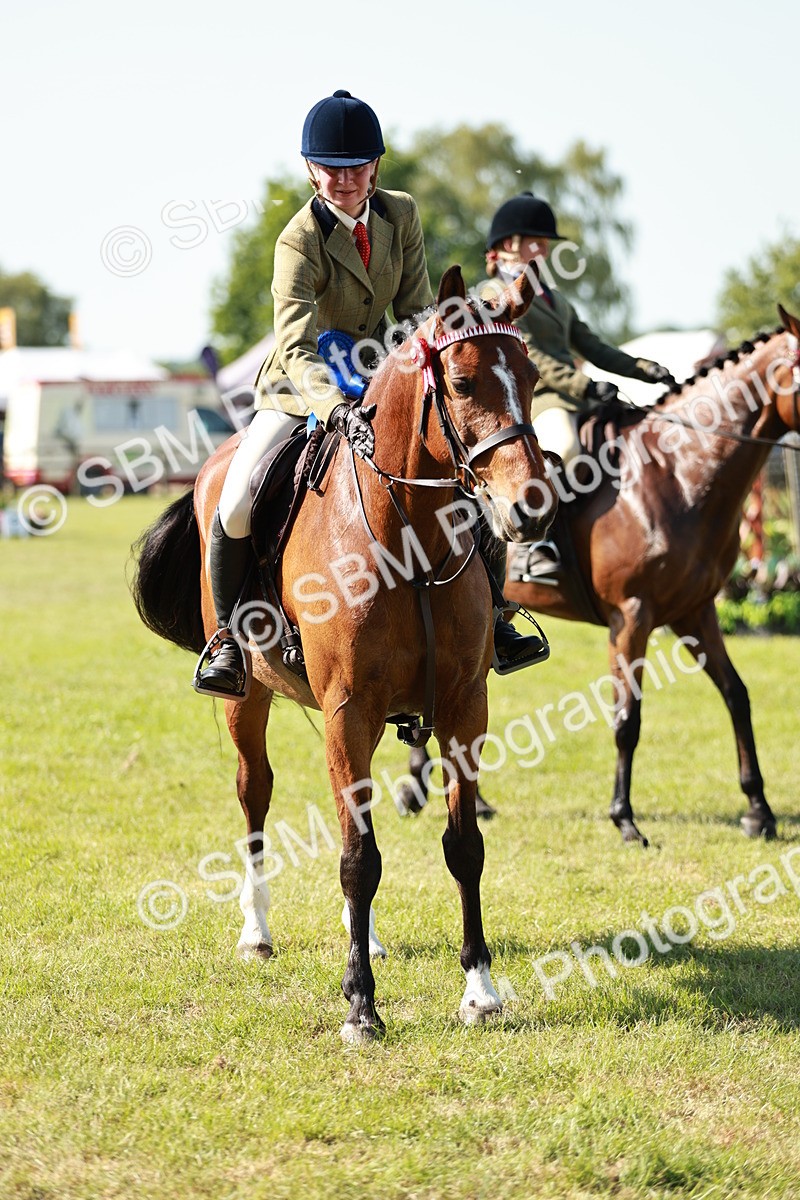 SBM_18946 - Class 114 - RIHS & SEIB Open Working Show Horse
