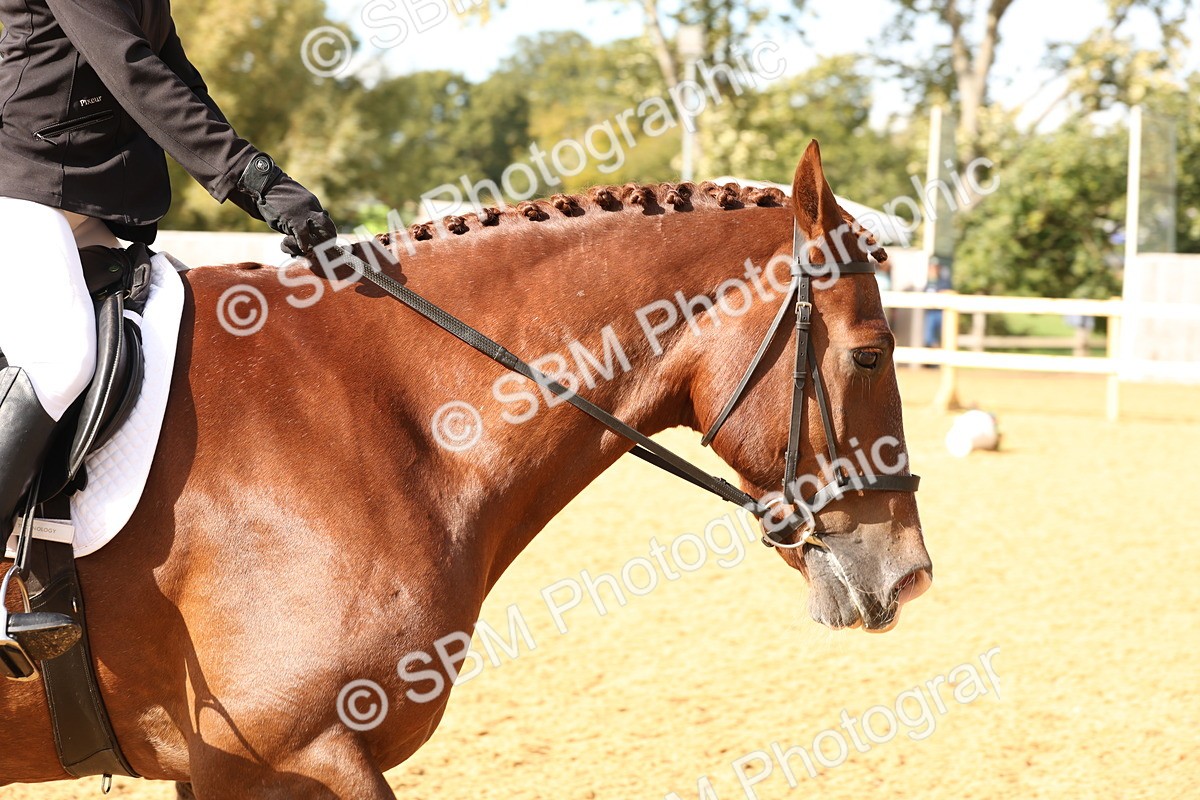 SBM_10594 - D9 - Small Tour Championship Prelim 3