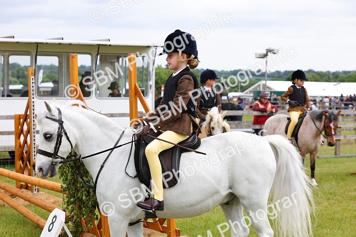 SBM_08651 - Class 42-43 - LIHS BSPS Heritage Working Sports Pony