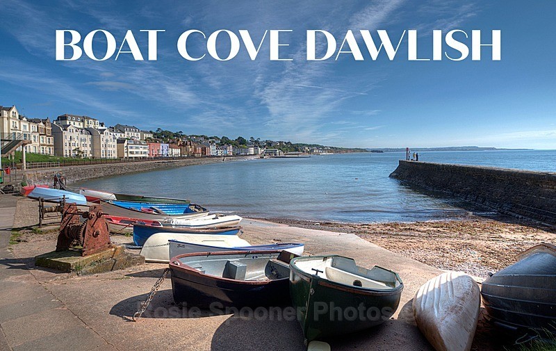 NEW - New 2026 Boat Cove - FRIDGE MAGNETS