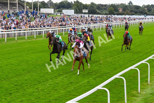 230823-Race 7-Zoulu Chief-0953 - Race 7 5.20pm Sky Bet Nursery Handicap