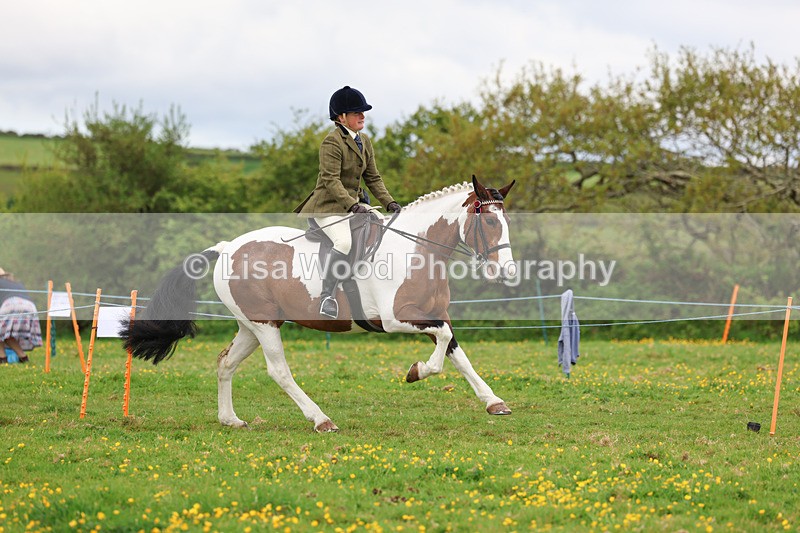 3E7A0968 - Class 6: Ridden Coloured