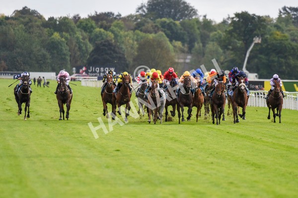 230923-Race 4-Aphelios-5684 - Race 4 3.45pm Jigsaw Sports Branding Handicap