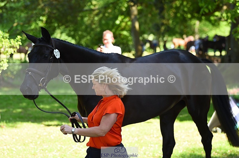 230524-151720-00184 - 317-FERNHILL_KANKAN-Jonelle_Price-WEDTrotUp+DR