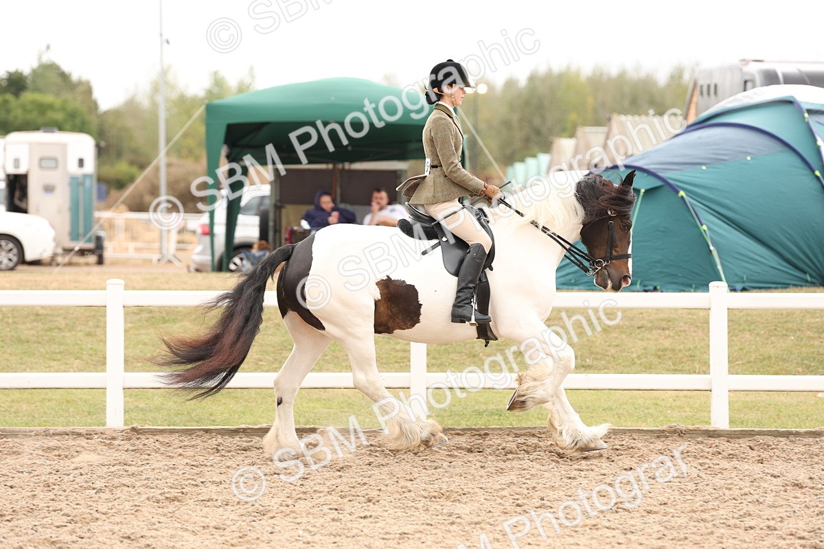 SBM_19672 - Class 216 - Ridden Traditional - Native Cob