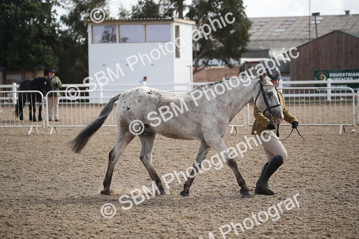 SBM_23432 - Class 604 - 2026 - Area IH Diamond